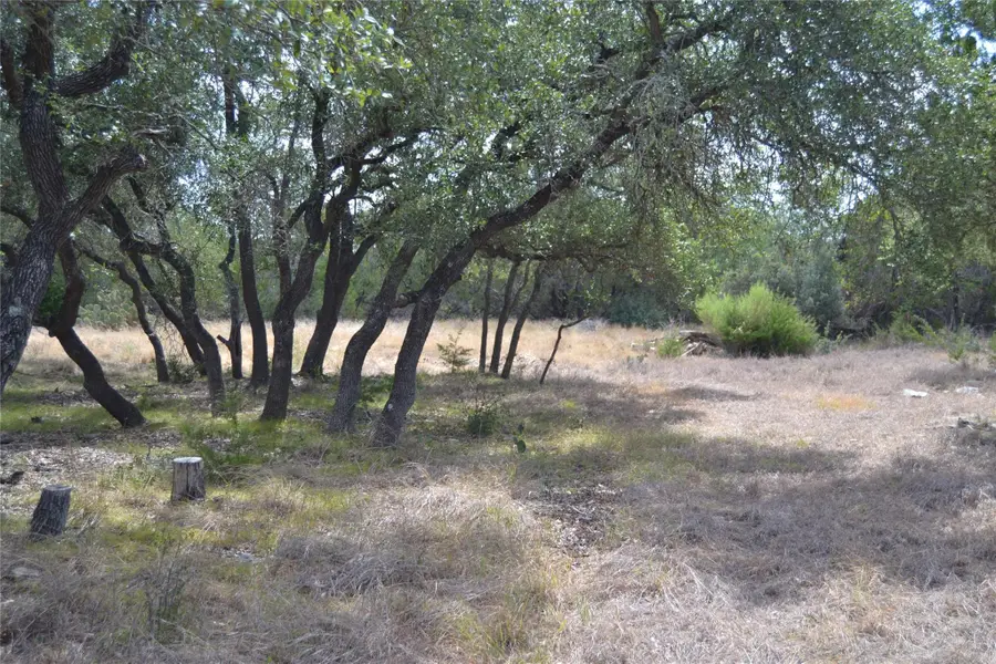 270 Gant Rd, Dripping Springs, TX 78620 - #3