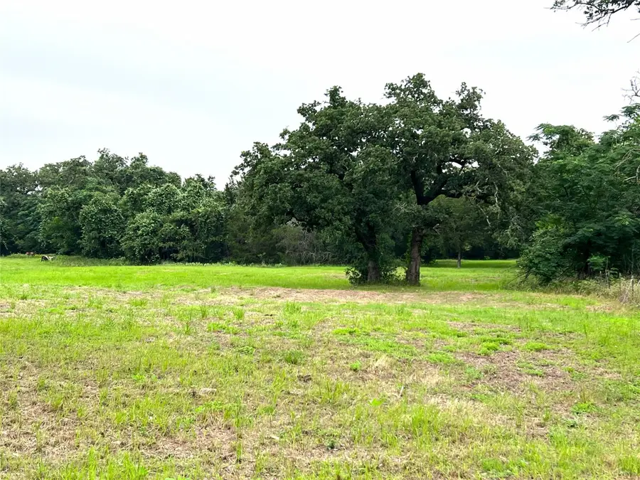 00 Rosanky Cattle Company Rd, Rosanky, TX 78953 - #3