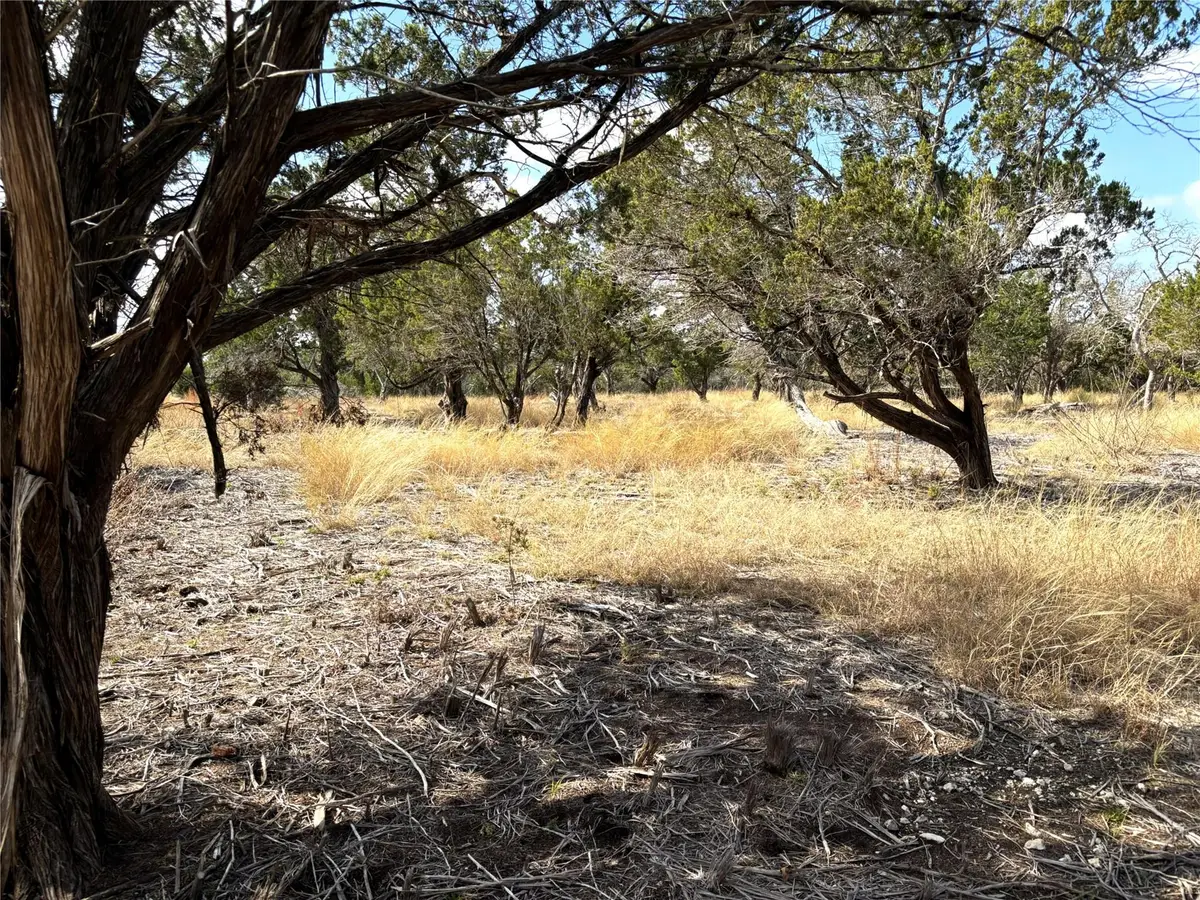 Tract 7 Burnet Oaks, Burnet, TX 78611 - #1