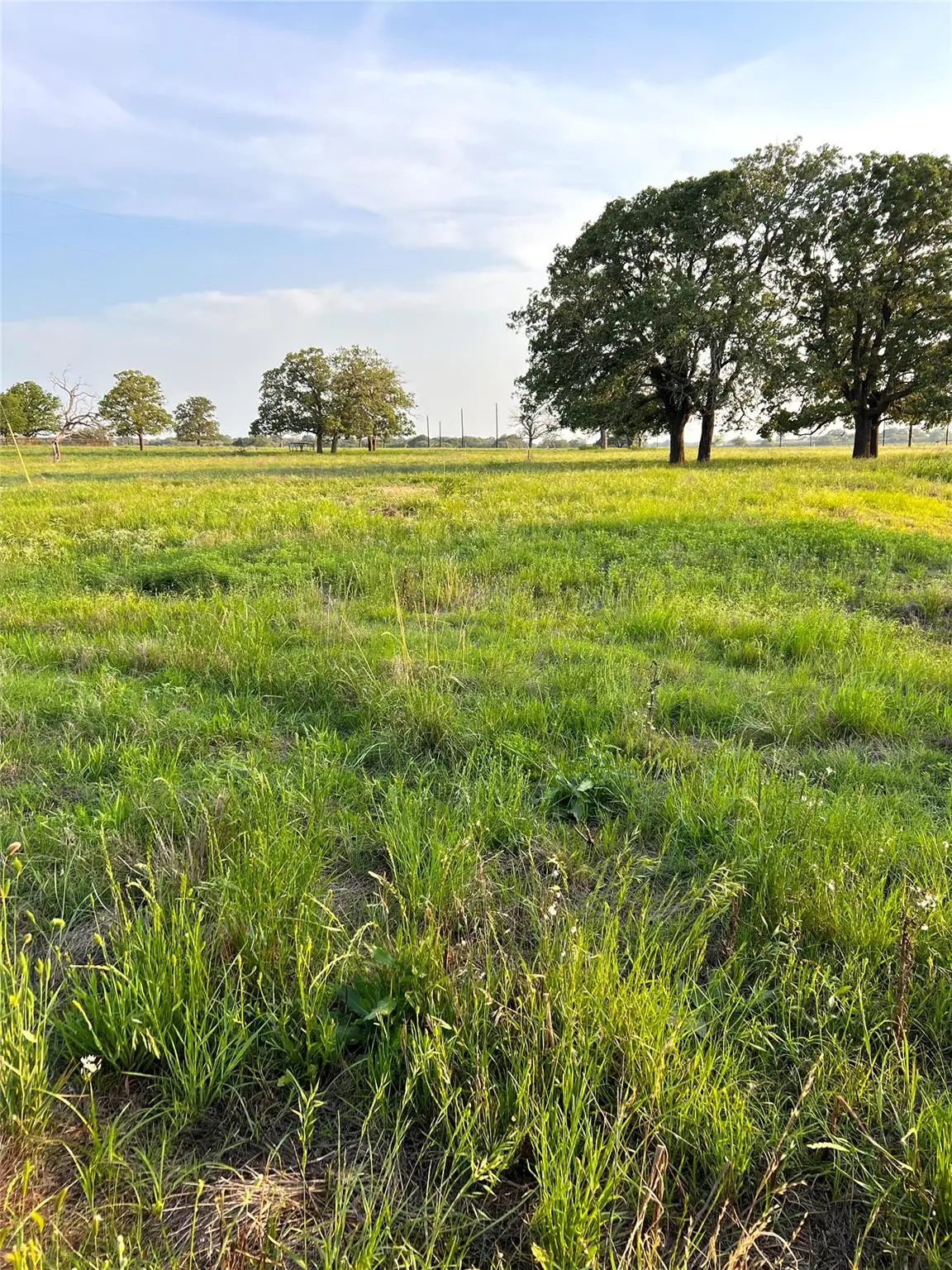 TBD Lot 9 Cardinal Rd, Rosanky, TX 78953 - #1
