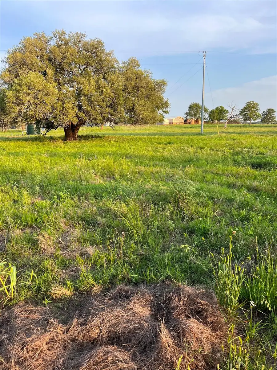 TBD Lot 9 Cardinal Rd, Rosanky, TX 78953 - #3