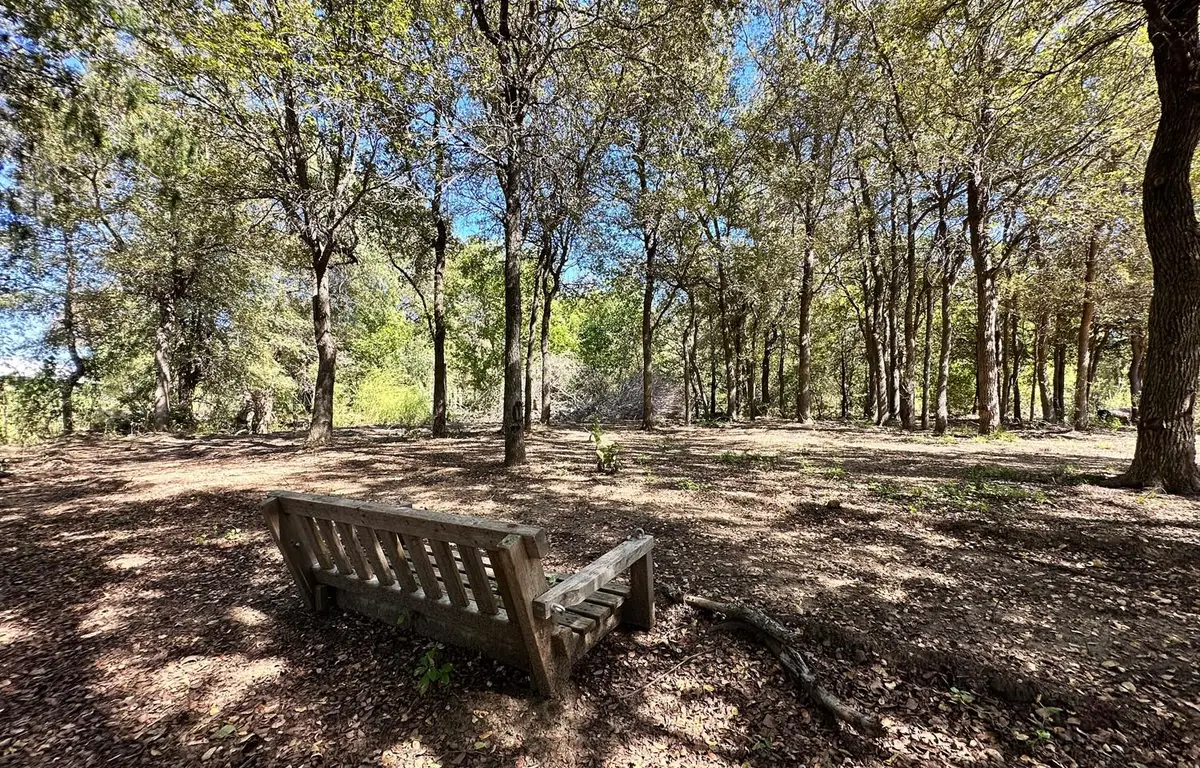353 Littig Rd, Elgin, TX 78621 - #1