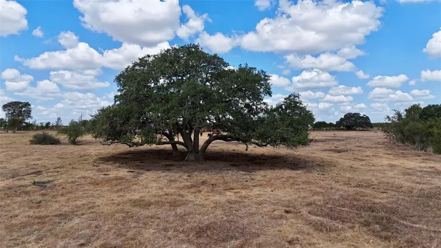 Tract 3 County Road 366, Shiner, TX 77984 - #2
