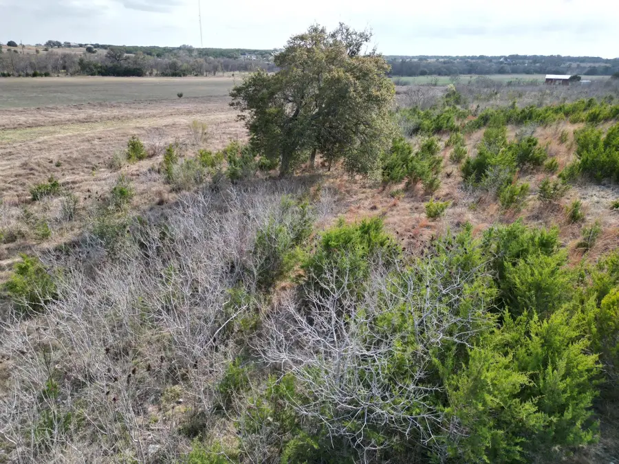 104 Scotty Ln, Liberty Hill, TX 78642 - #3