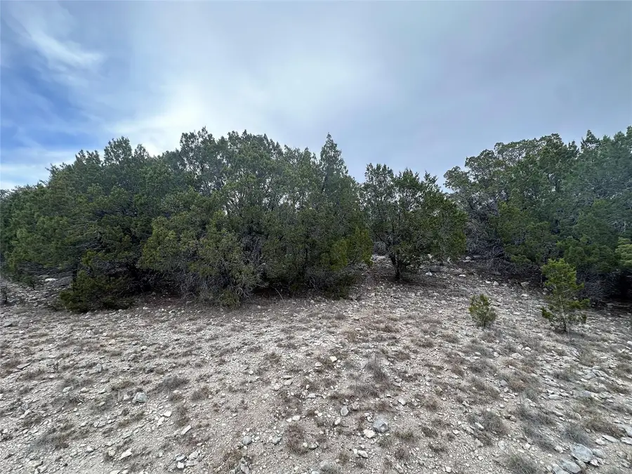 3105 Pilgrim Cv, Leander, TX 78645 - #3