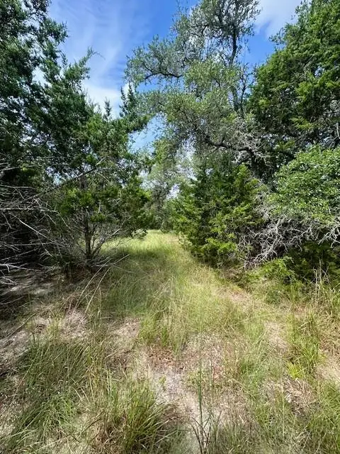 TBD LOT 3 Royal Eagle Dr, Fischer, TX 78623 - #3