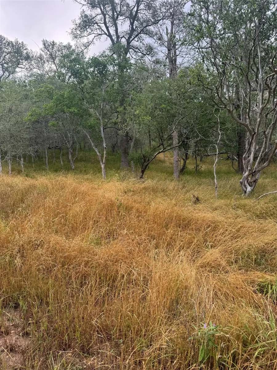 107 Hauula Ct, Bastrop, TX 78602 - #3