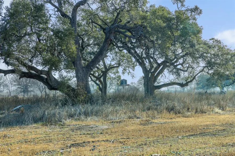 598 Nw River Rd, Martindale, TX 78655 - Image #3