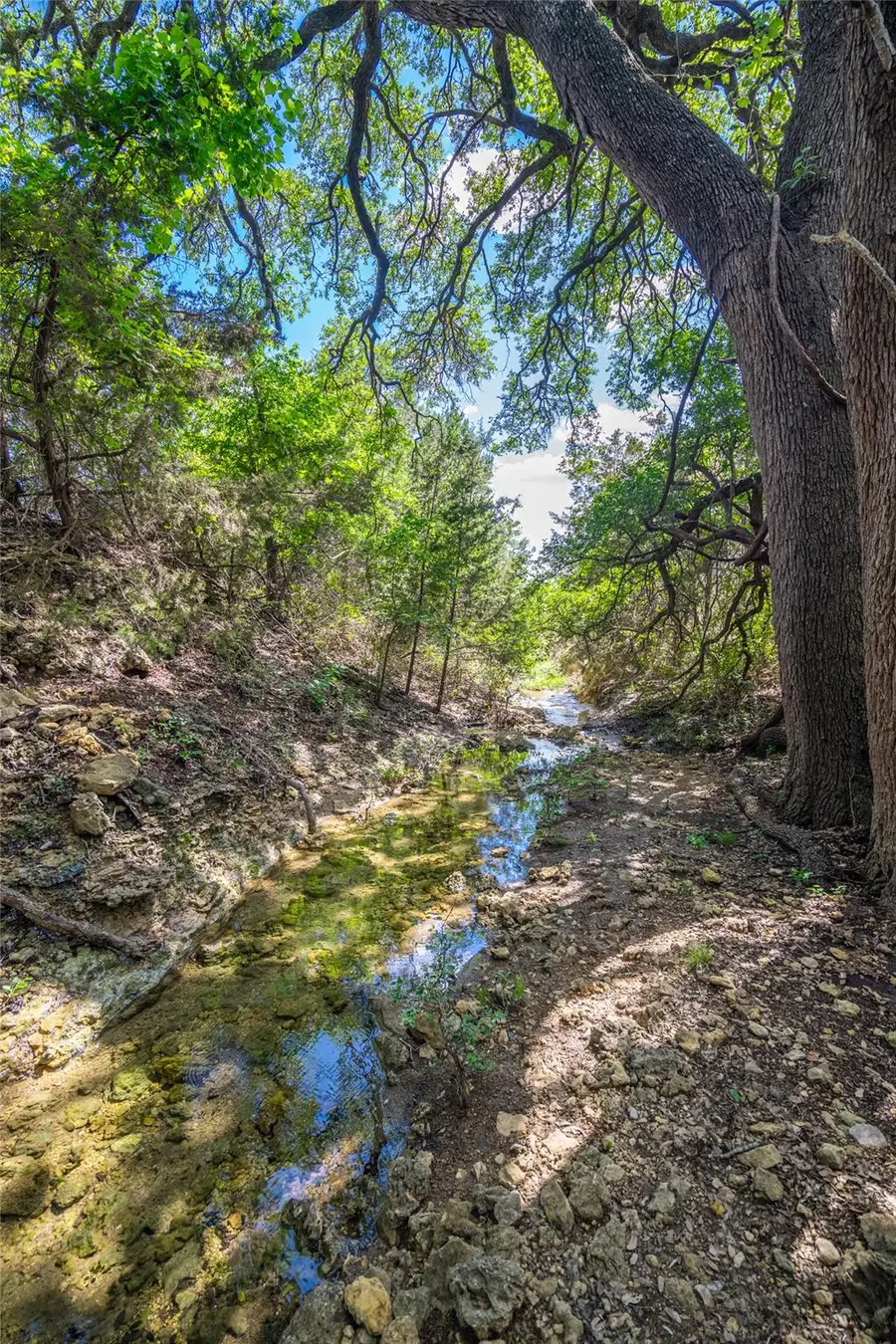 9750 Rm-243, Bertram, TX 78605 - #3