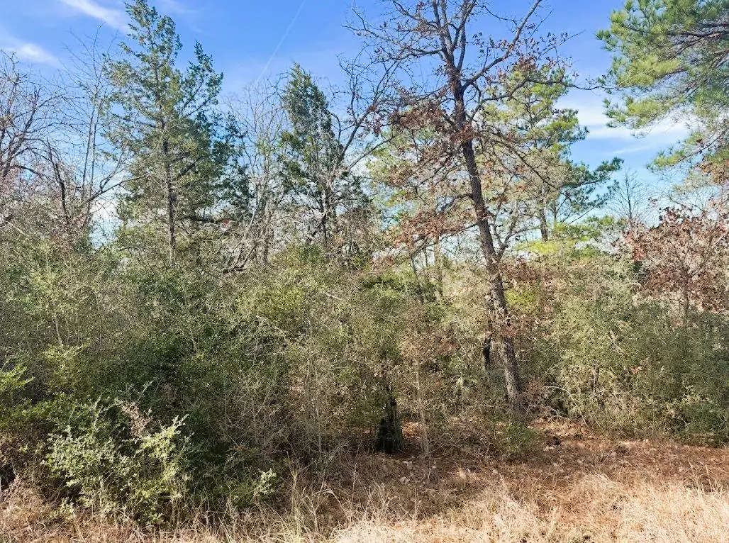 106 Olomana Ct, Bastrop, TX 78602 - Image #1