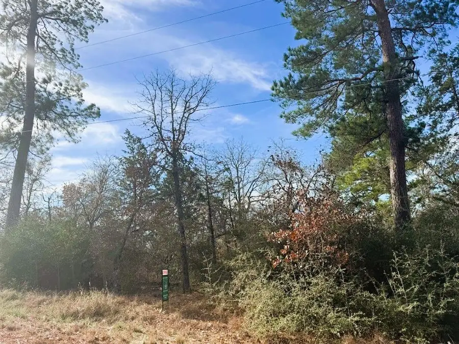 106 Olomana Ct, Bastrop, TX 78602 - Image #2