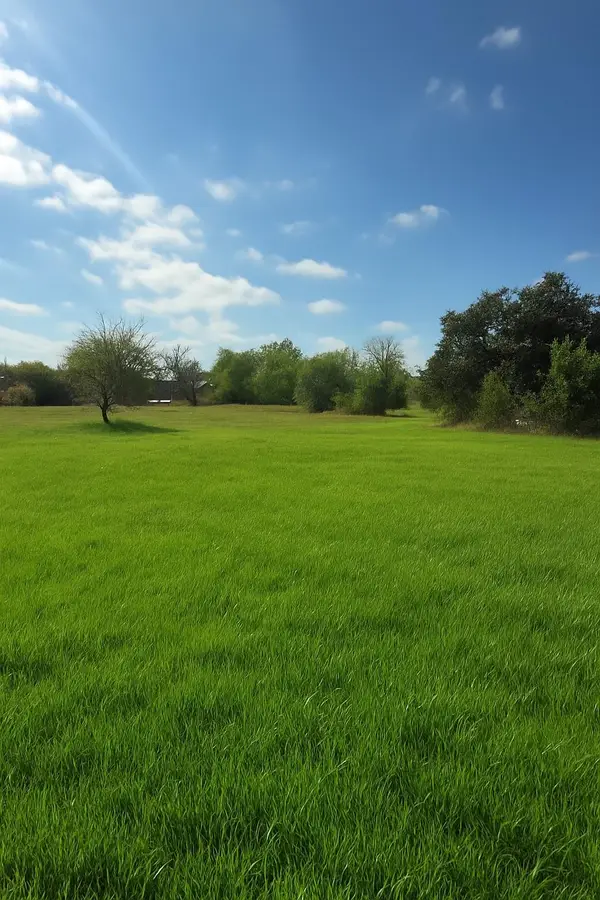 TBD Highway 36, Rogers, TX 76569