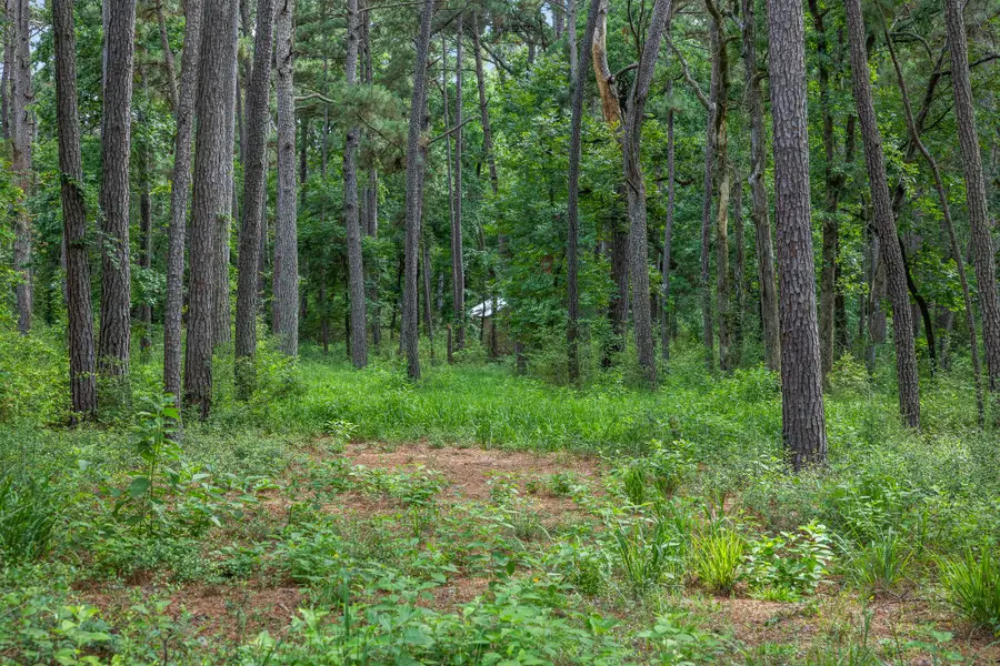 5772 Pr 2065, Centerville, TX 75833 - #3