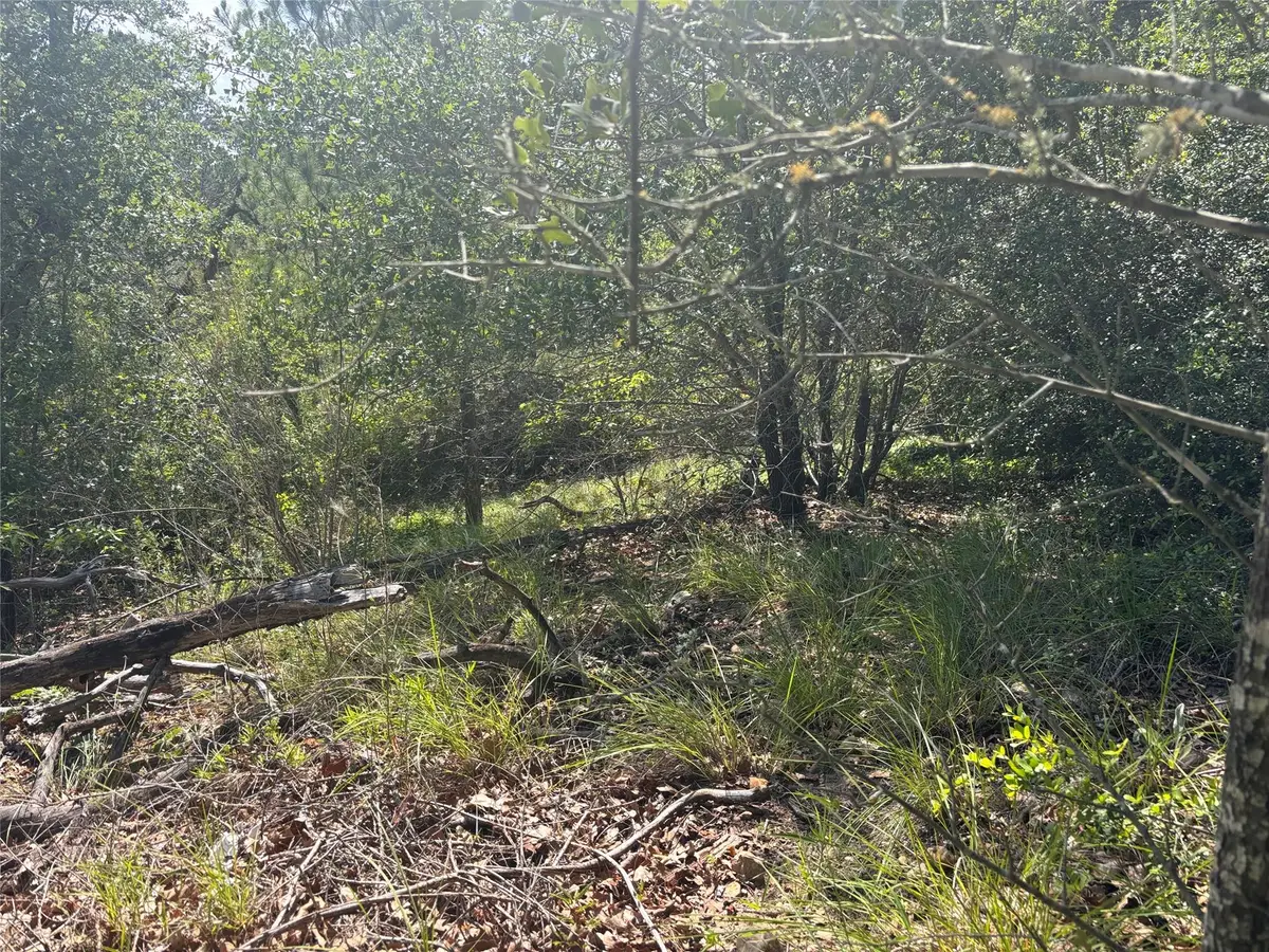 Lot 1541 Pahoiki Ln, Bastrop, TX 78602 - #1