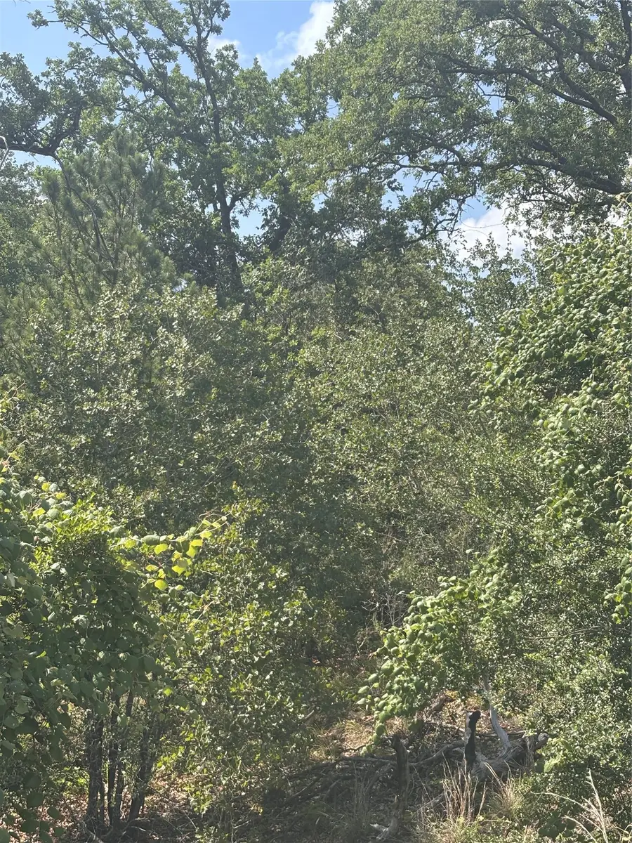 Lot 1541 Pahoiki Ln, Bastrop, TX 78602 - #2