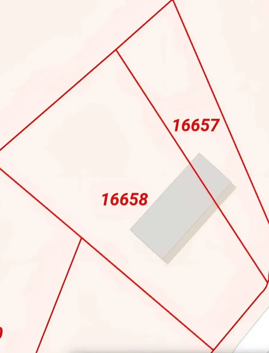 113 Red Head Cv, San Marcos, TX 78666 - #3