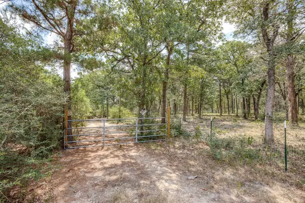 217 Kestrel Ln, Red Rock, TX 78662