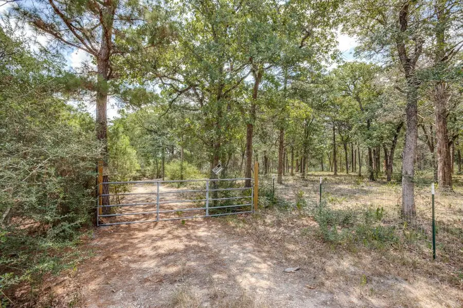 217 Kestrel Ln, Red Rock, TX 78662 - Image #3