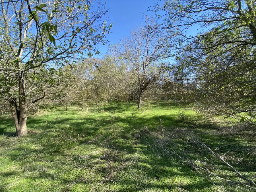 7603 Timber Hills Dr, Del Valle, TX 78617 - #3