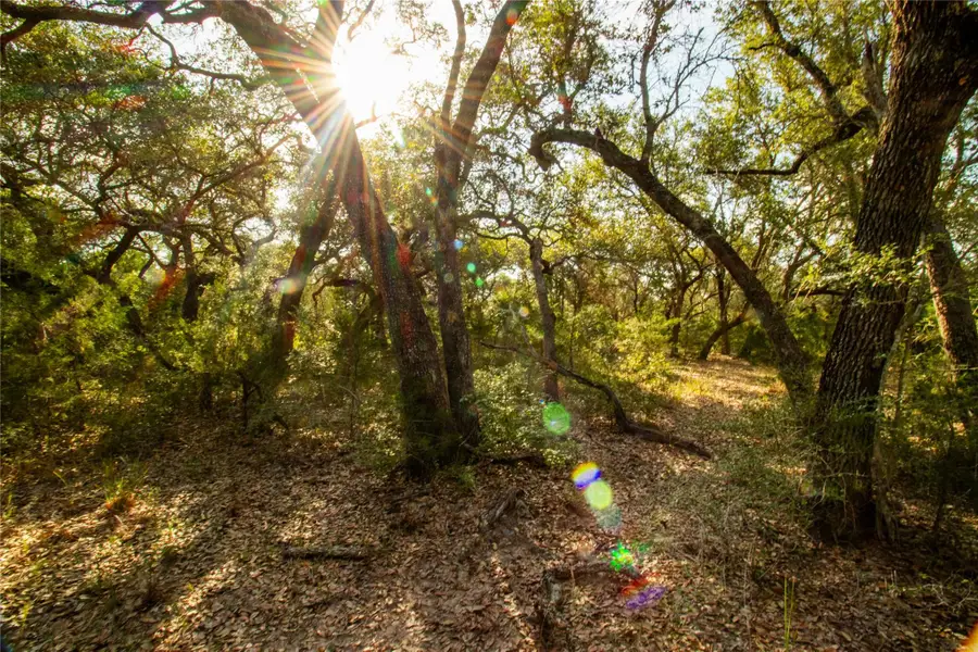 001 County Road 15, Hallettsville, TX 77964 - #2