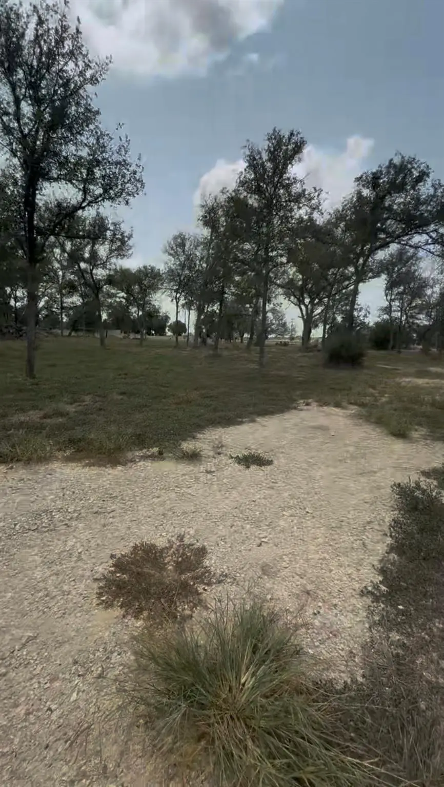 6070 Farm To Market 672, Dale, TX 78616 - #1