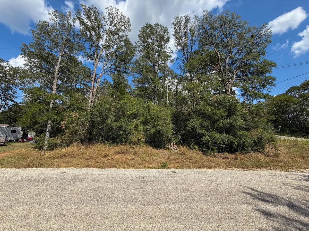 103 Nuupia Ct, Bastrop, TX 78602 - #1