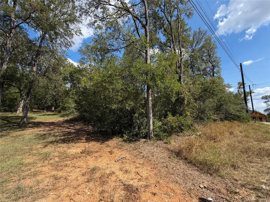 103 Nuupia Ct, Bastrop, TX 78602 - #3