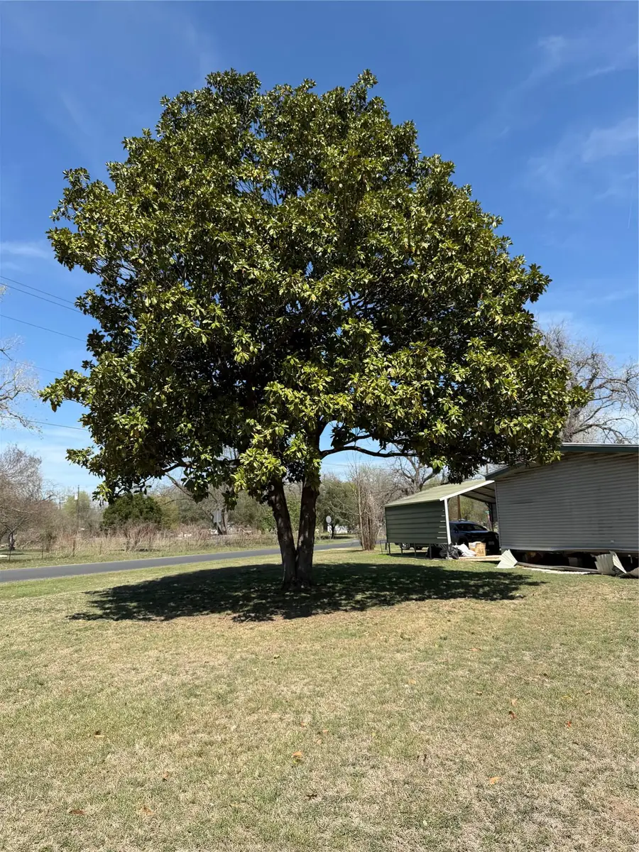 1603 Man O War Dr, Del Valle, TX 78617 - #3