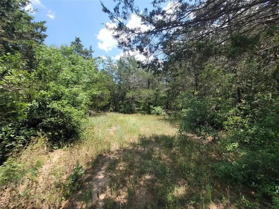 566 Herron Trl, McDade, TX 78650 - #2