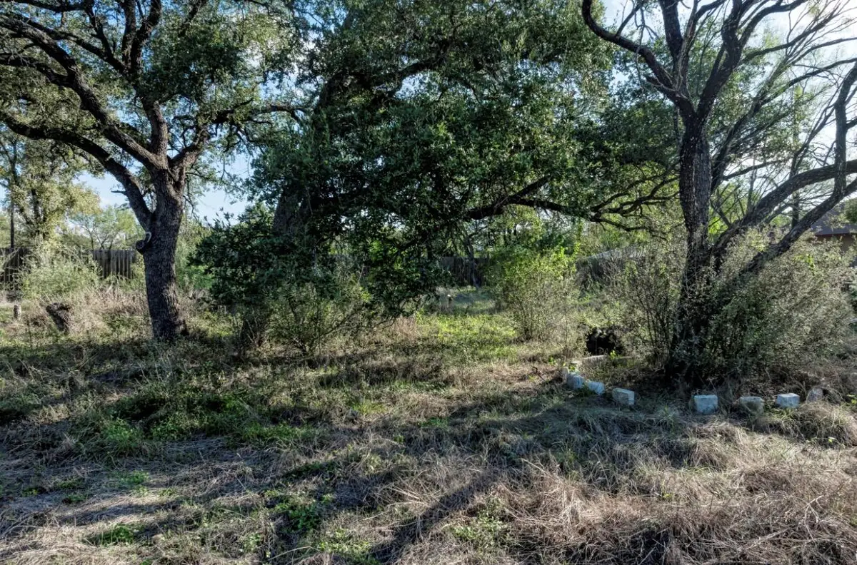 Lot 111 Moss Valley Ln, Granite Shoals, TX 78654 - #1