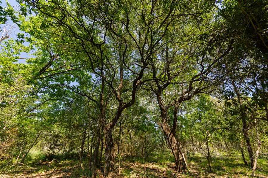 TBD County Road 180 Rolling Pond Ranch Rd, Purmela, TX 76566 - #3
