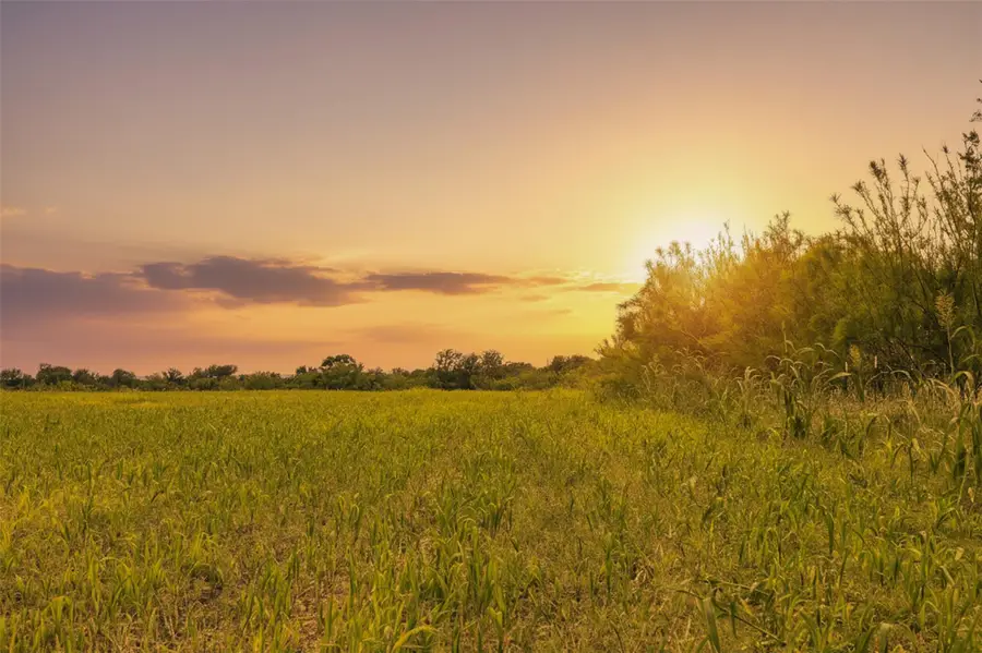 21814 Hogeye Rd, Manor, TX 78653 - #3