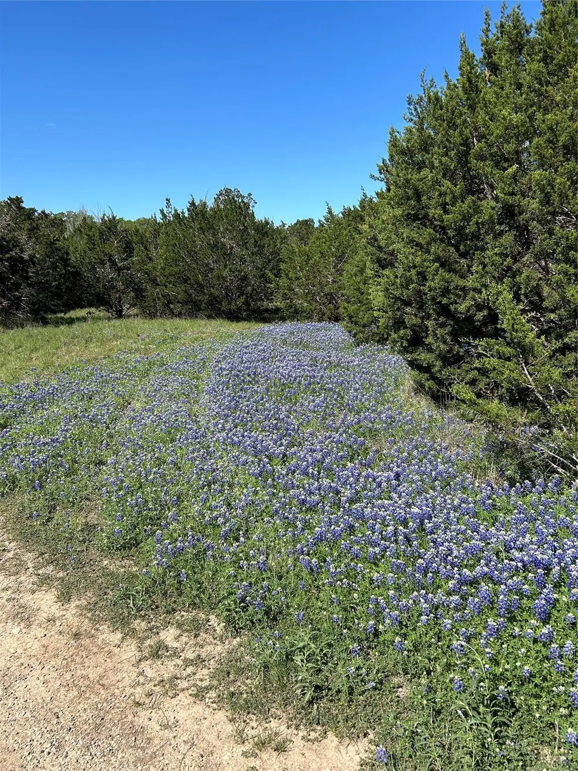 17 Heathrow Ln, Wimberley, TX 78676 - #1