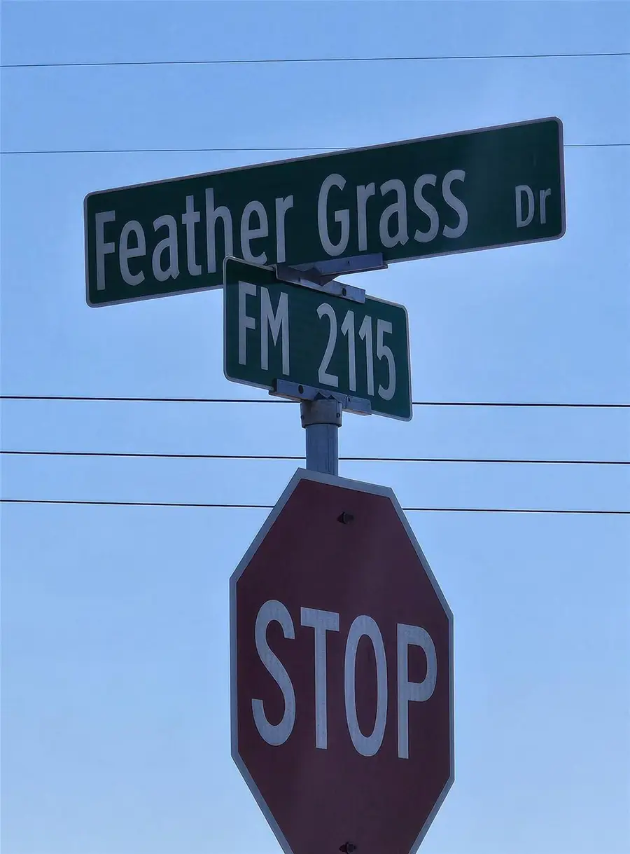 1273 Gamagrass Rd, Salado, TX 76571 - Image #2