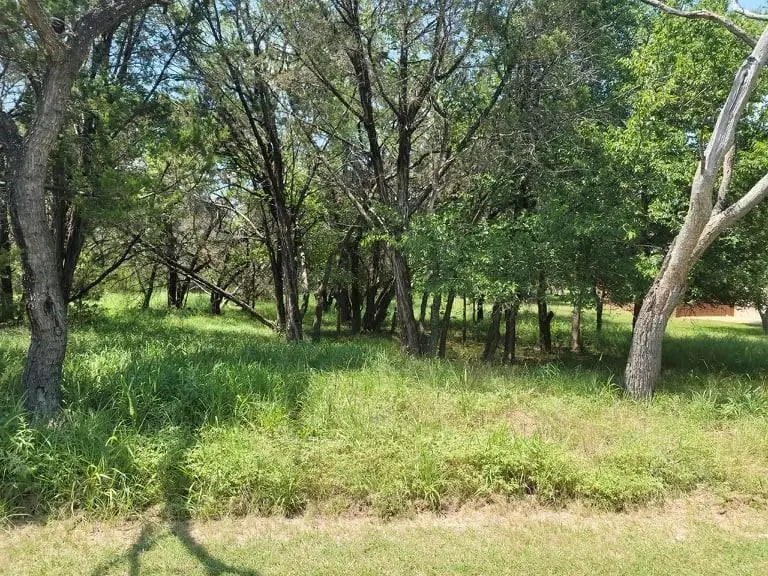 35060 Oak Forest Dr, Whitney, TX 76692 - Image #1