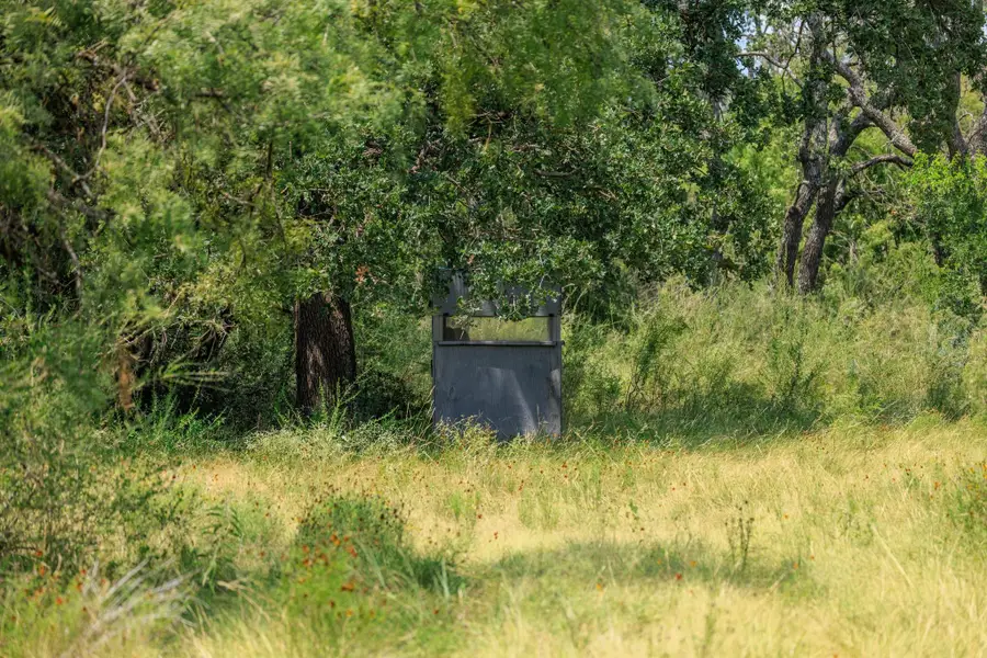 0 Ranch Road 648, Doss, TX 78618 - #2