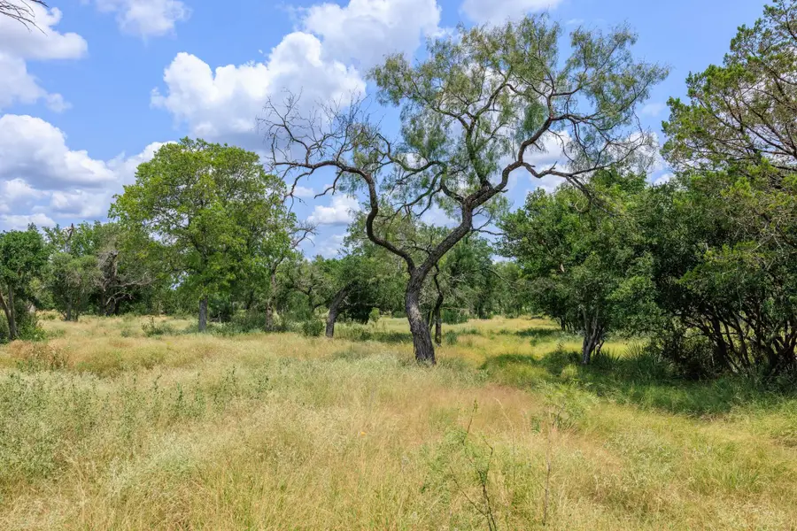 0 Ranch Road 648, Doss, TX 78618 - #3