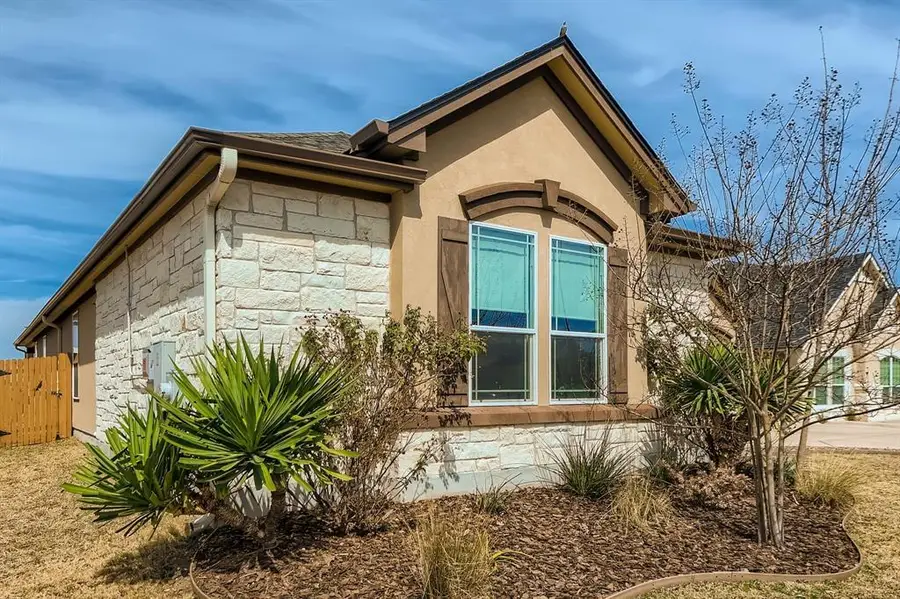 18308 Pencil Cactus Dr, Pflugerville, TX 78660 - #2