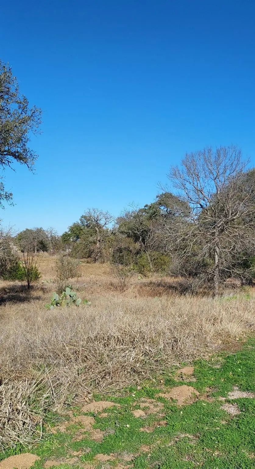 Lot 50 Pristine Pass, Buchanan Dam, TX 78609 - #3