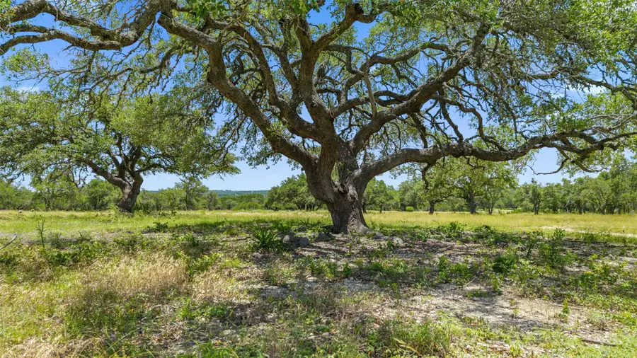 936 Lot 2 Lindeman Ln, Blanco, TX 78606 - Image #3