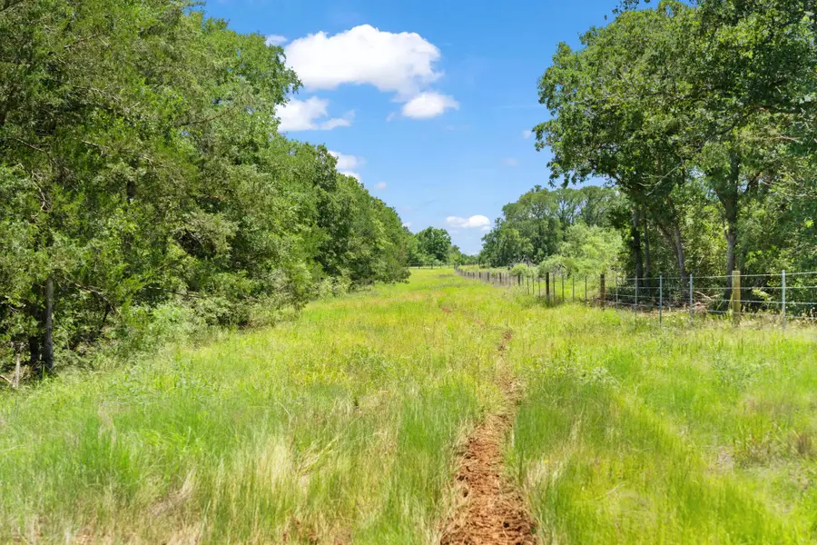 TBD St Delight (tract 1) Rd, Paige, TX 78659 - Image #2