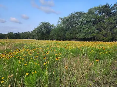000 Fm 812 Rd, Cedar Creek, TX 78612 - #3