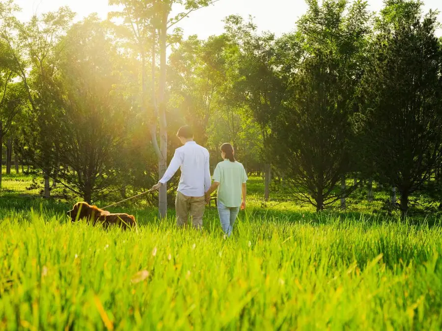 14506 Annie Crossing Dr, Cedar Park, TX 78641 - #3