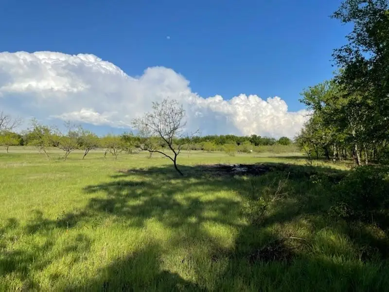 TBD Lot# 5 Comanche Hills Dr. Dr, Comanche, TX 76442 - Image #2