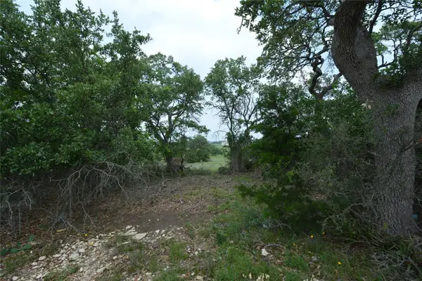134 W Pat Dolan, Blanco, TX 78606