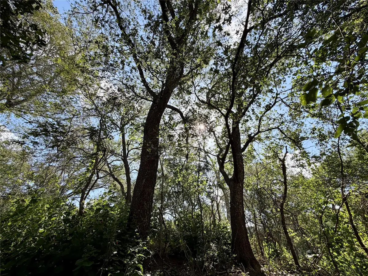 342 Riverside Dr, Bastrop, TX 78602 - #1