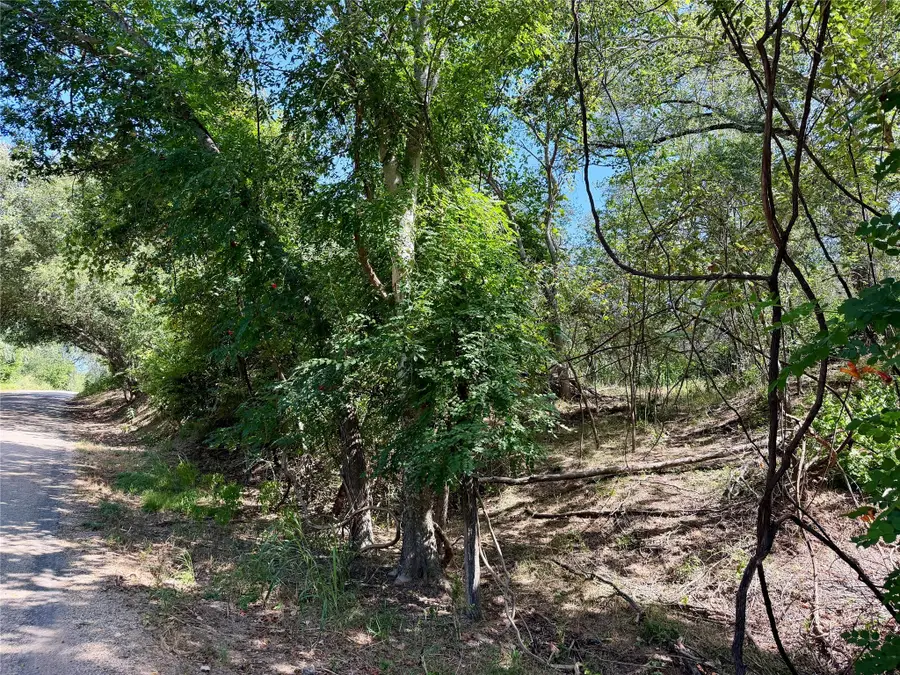 342 Riverside Dr, Bastrop, TX 78602 - #3