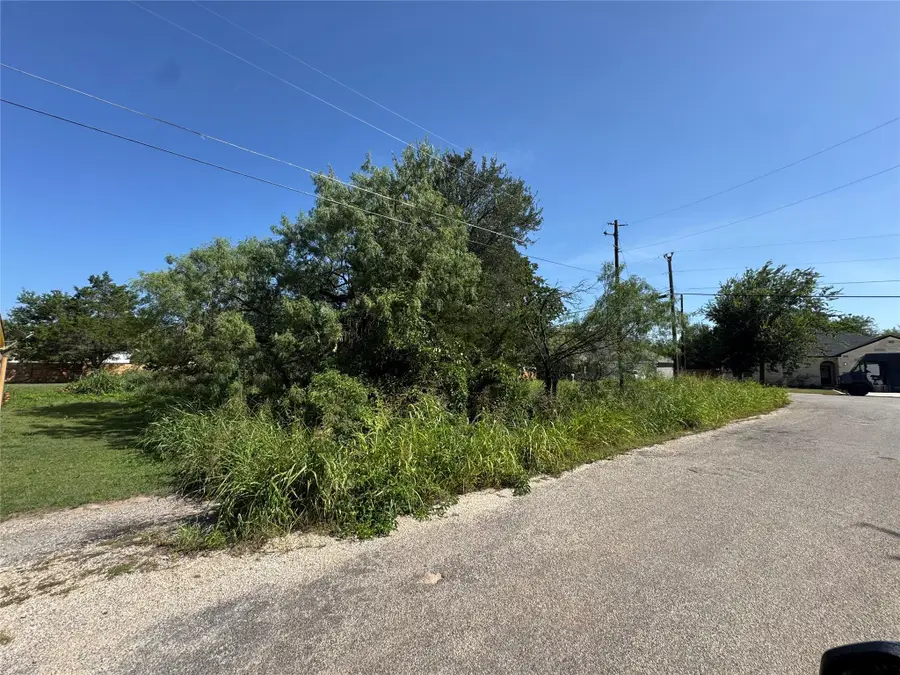 000 Waimalu Ct, Bastrop, TX 78602 - #3