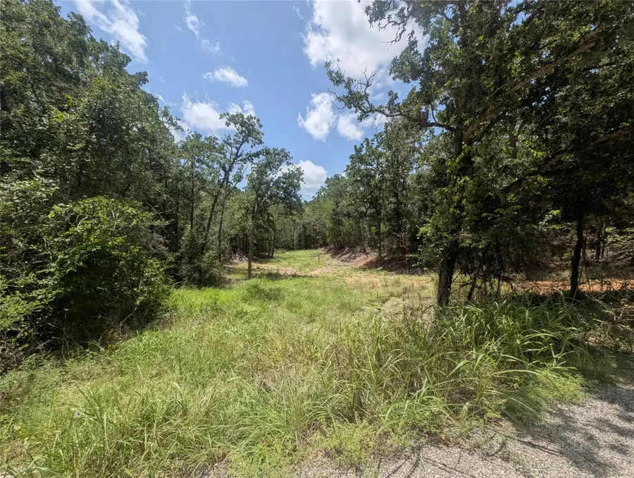 160 Wailupe Cir, Bastrop, TX 78602 - #2