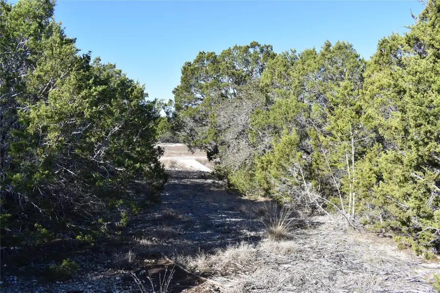 Lot 35 Riparian Elm Rd, Bertram, TX 78605 - #3